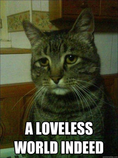 Depressed cat