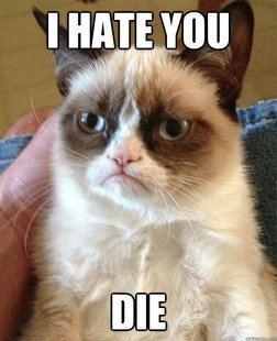 Grumpy cat
