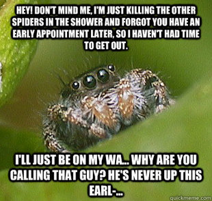 Misunderstood Spider