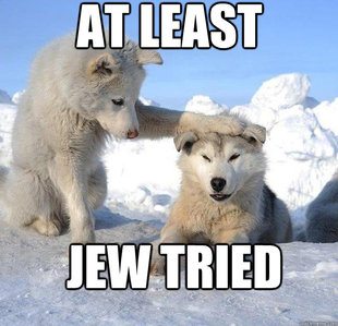 Caring Husky