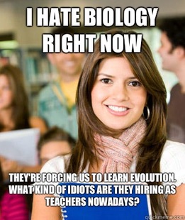 Sheltered College Freshman