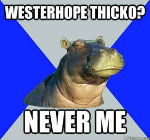 Skeptical Hippo