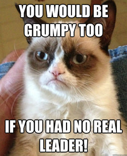 Grumpy cat