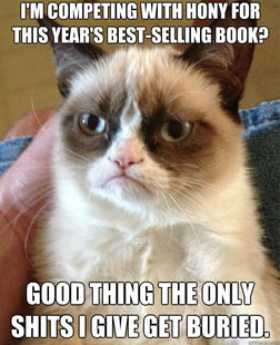 Grumpy Cat