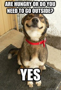 Good Dog Greg