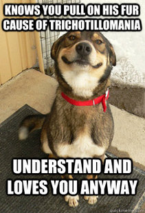 Good Dog Greg