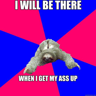Math Major Sloth