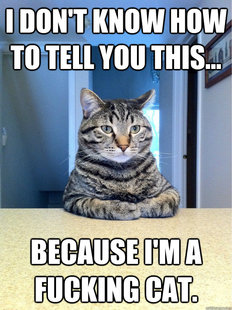 Chris Hansen Cat