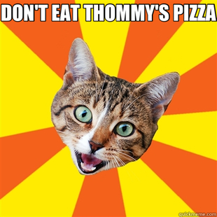 Bad Advice Cat