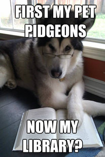 Condescending Literary Pun Dog