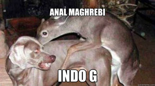 Anal Sex