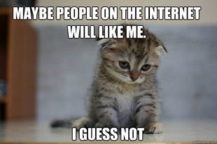 Sad Kitten