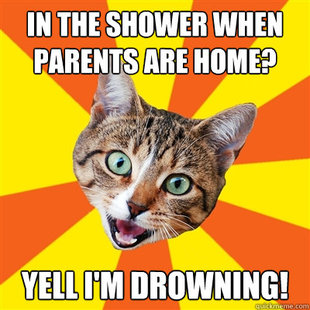 Bad Advice Cat