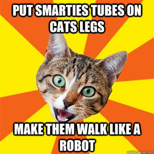 Bad Advice Cat