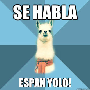 Linguist Llama