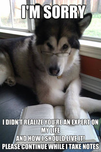Condescending Literary Pun Dog