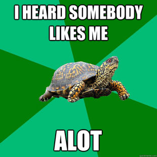 Torrenting Turtle