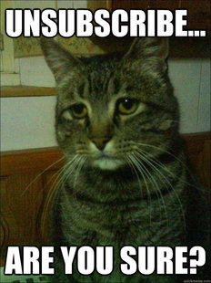 Depressed cat