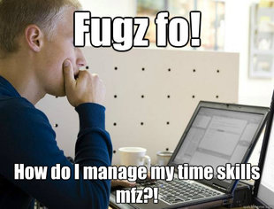 Programmer