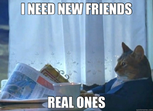 Friends