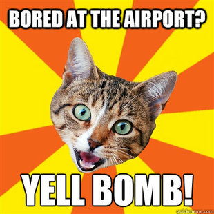 Bad Advice Cat
