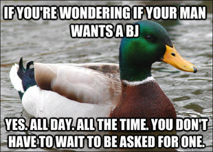 Actual Advice Mallard