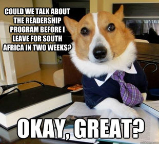 Lawyer Dog