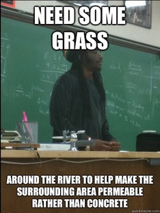 Rasta Science Teacher