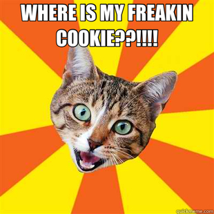 Bad Advice Cat