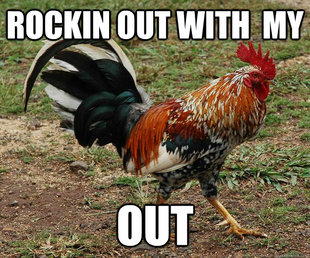 Red Team Rooster