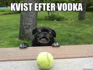 Berks Dog