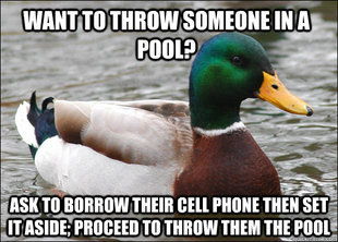 Actual Advice Mallard