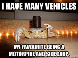 Fancy Crab