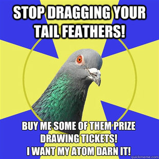 Religion Pigeon
