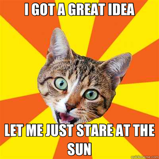 Bad Advice Cat
