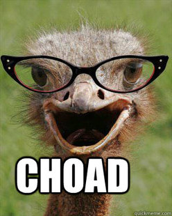 Judgmental Bookseller Ostrich