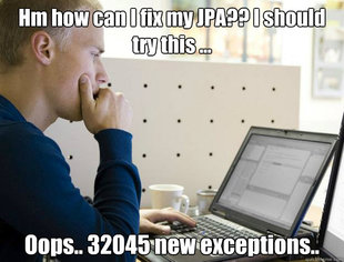 Programmer