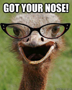 Judgmental Bookseller Ostrich