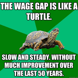 Torrenting Turtle