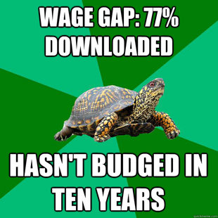 Torrenting Turtle