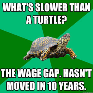 Torrenting Turtle