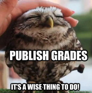 cute owl