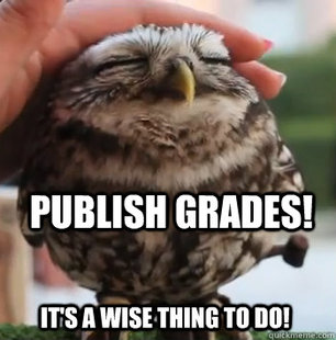cute owl