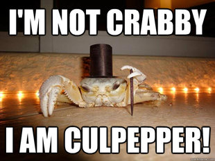 Fancy Crab