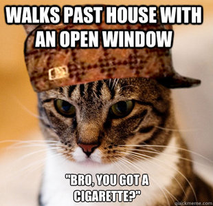 Scumbag Cat