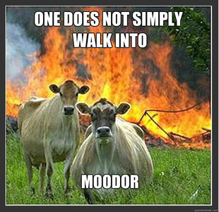 Evil cows