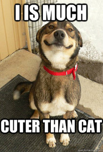 Good Dog Greg