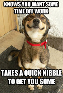 Good Dog Greg