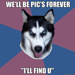 Creeper Canine