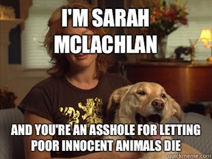 Sarah Mclachlan